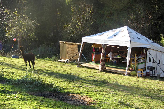 Alpaka Wanderungen - Das Beduinenzelt auf der Wiese vom Lapakatal